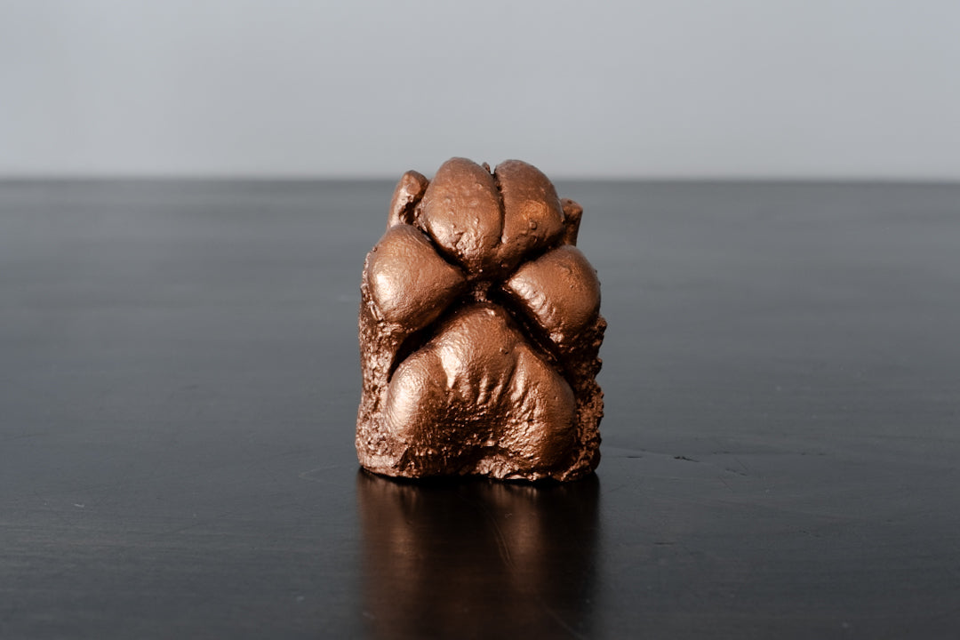 Plaster Paw Casting