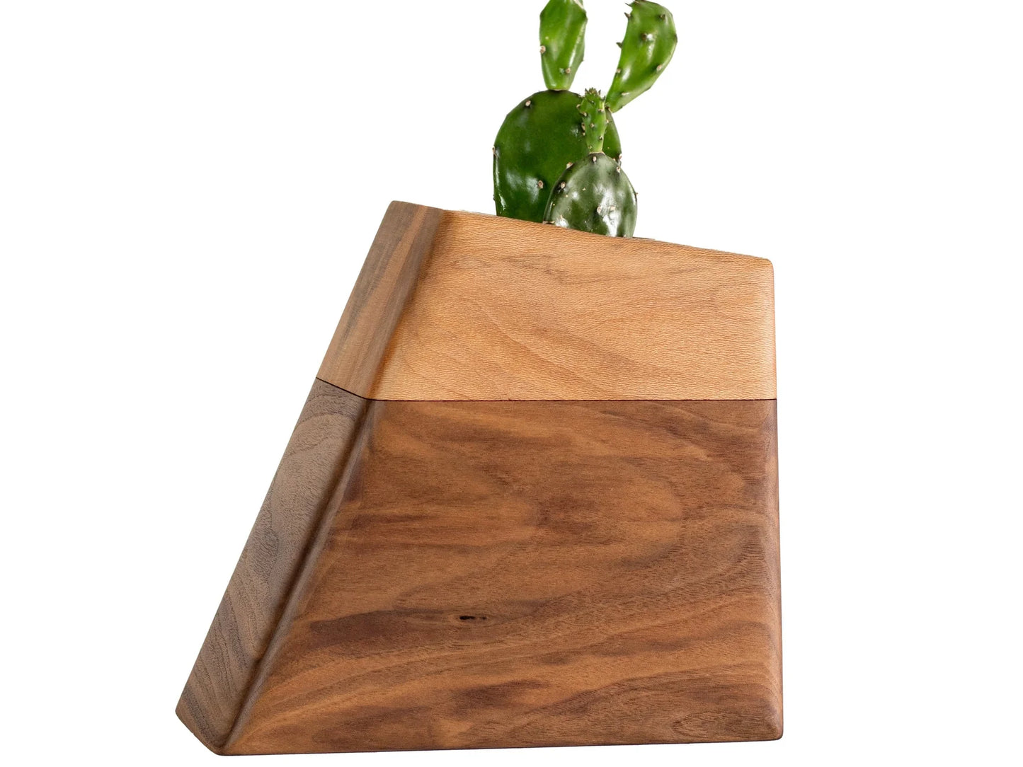 Planturns by Boyce Studio