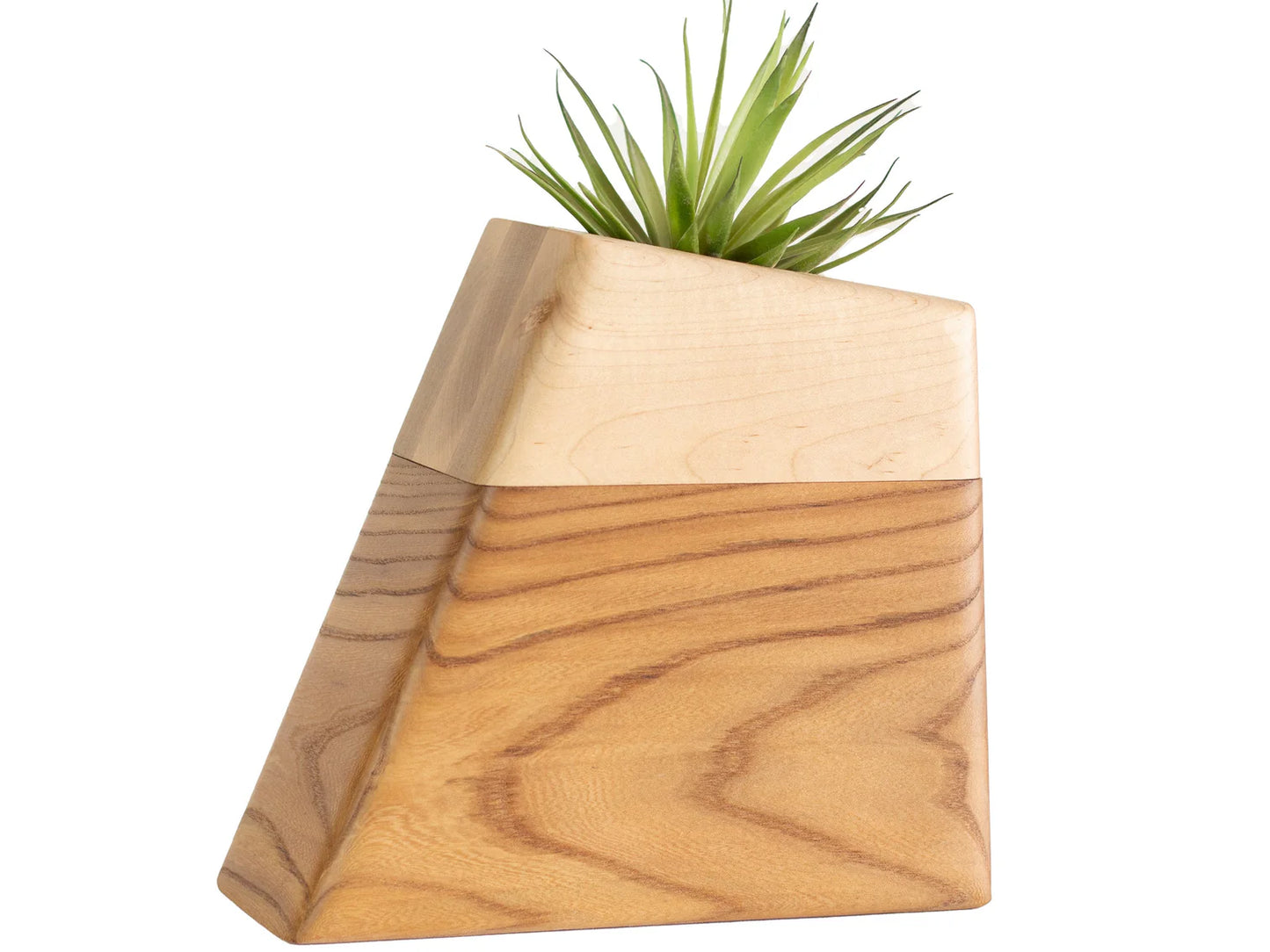 Planturns by Boyce Studio