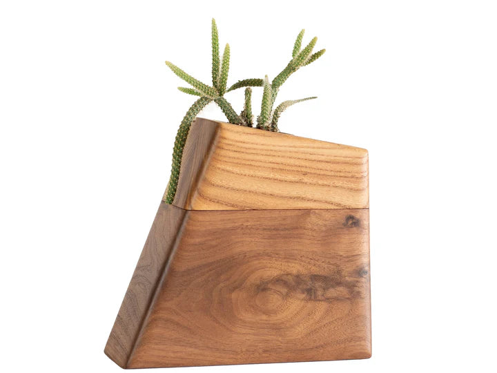 Planturns by Boyce Studio