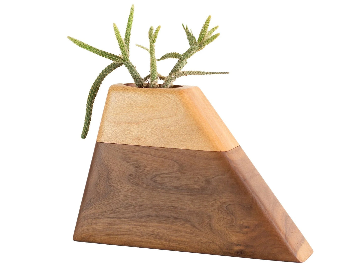 Planturns by Boyce Studio